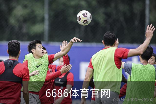 6686体育官网公司简介图片